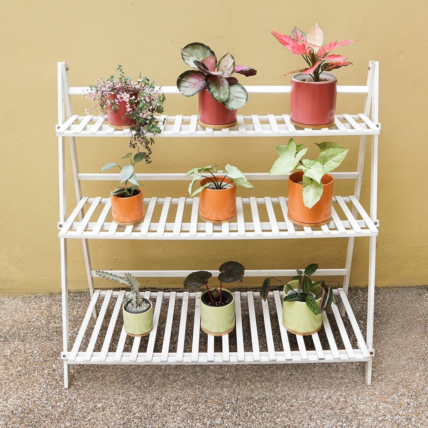 Bamboo Plant Rack