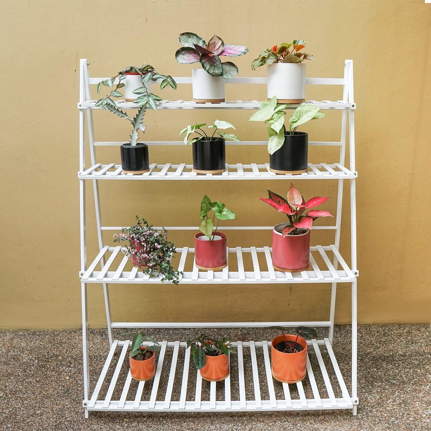 Bamboo Plant Rack