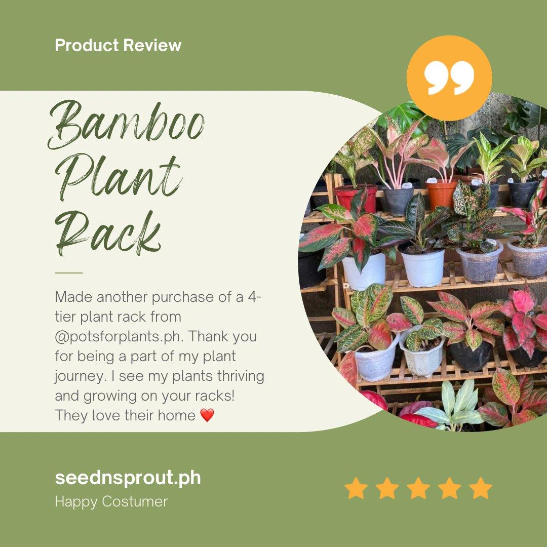 Bamboo Plant Rack