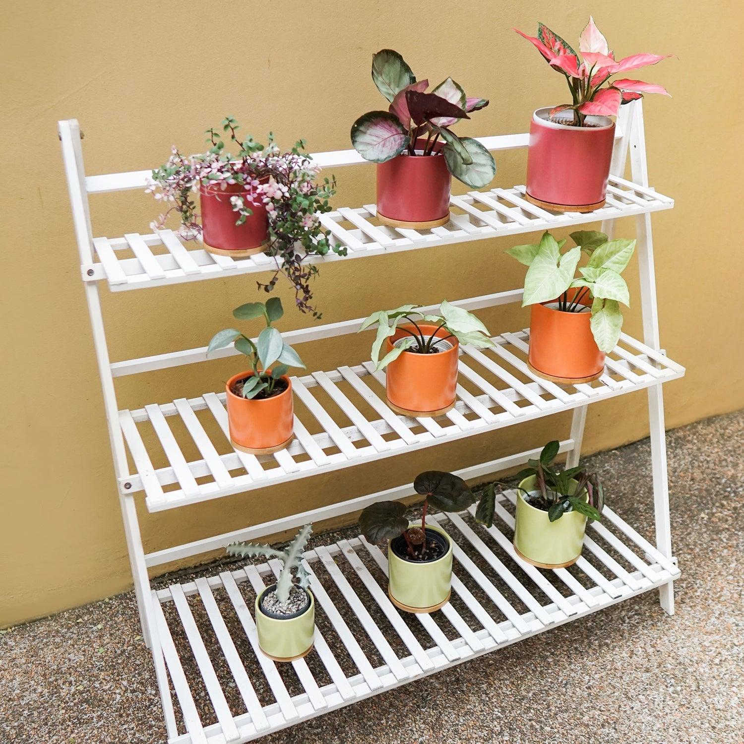 Bamboo Plant Rack
