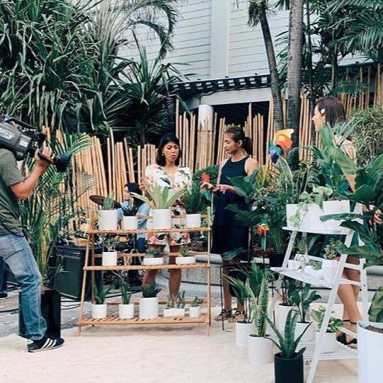 Bamboo Plant Rack
