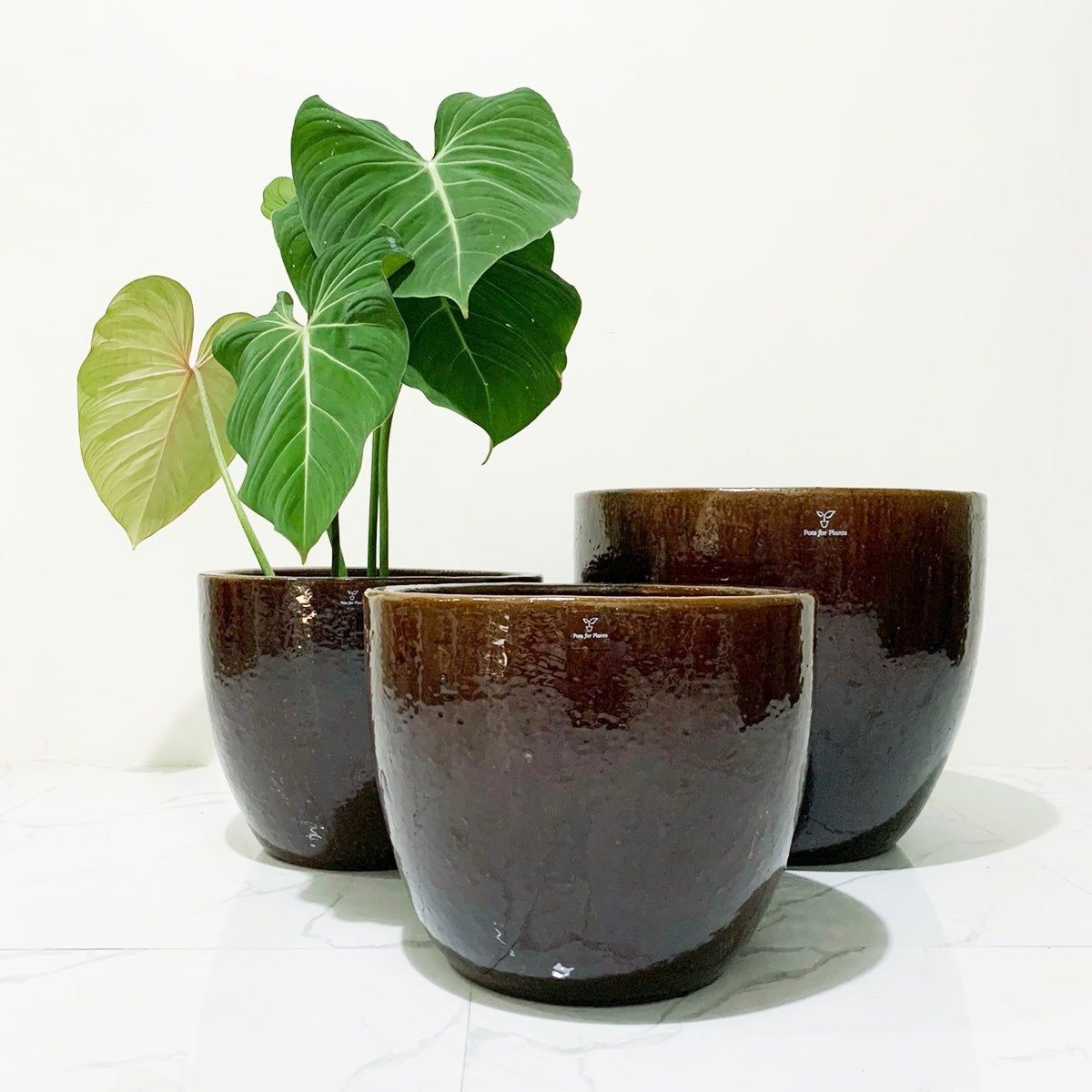 Brown Round Vietnam Glazed Earthenware Ceramic Pot