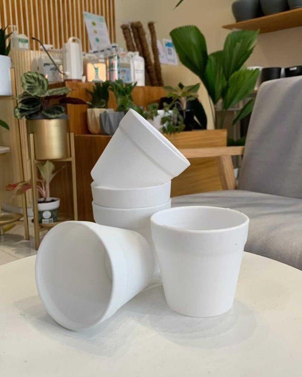 Classic Plastic Pot