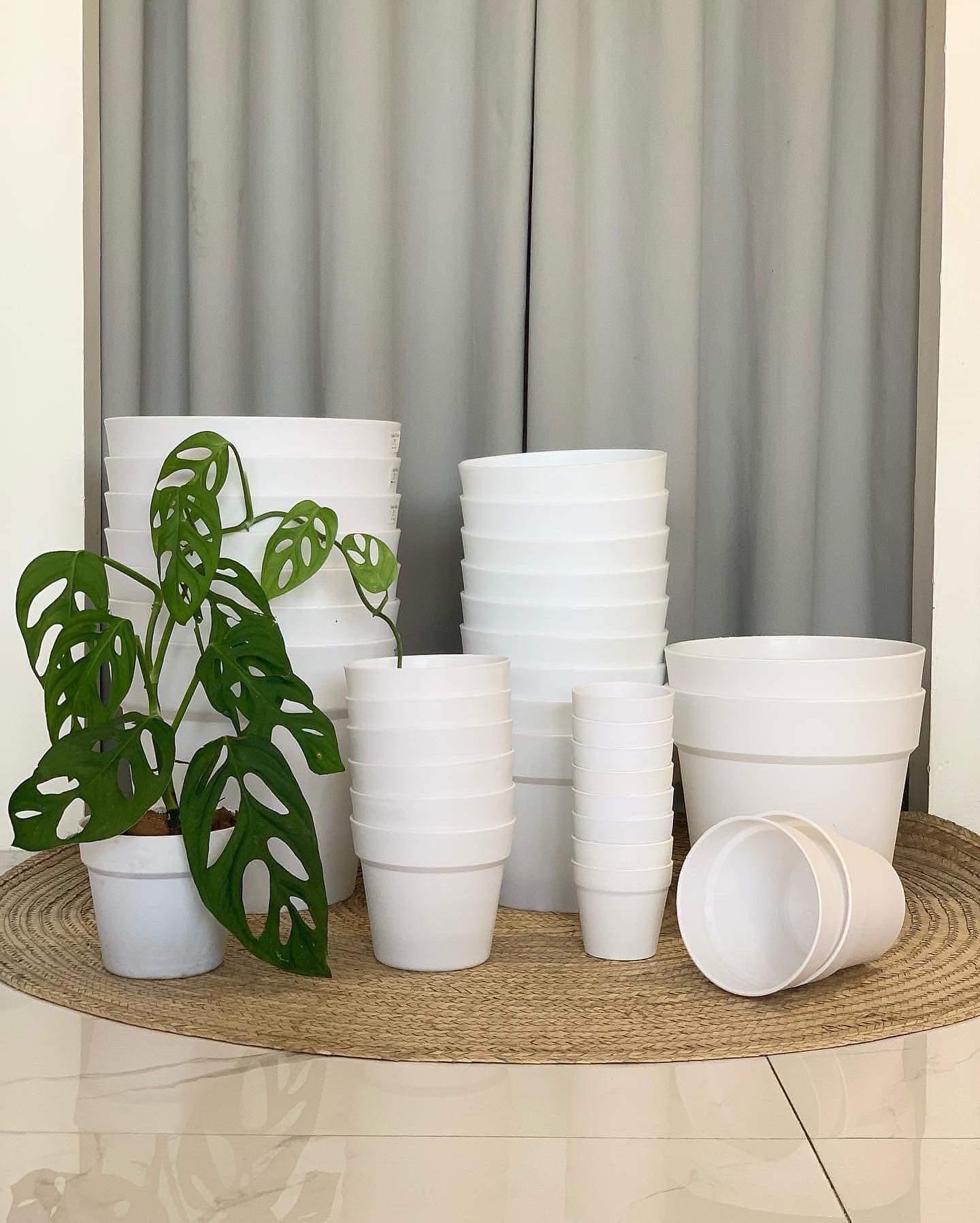 Classic Plastic Pot