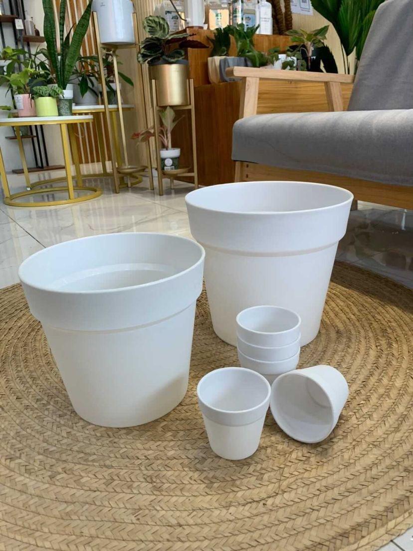 Classic Plastic Pot