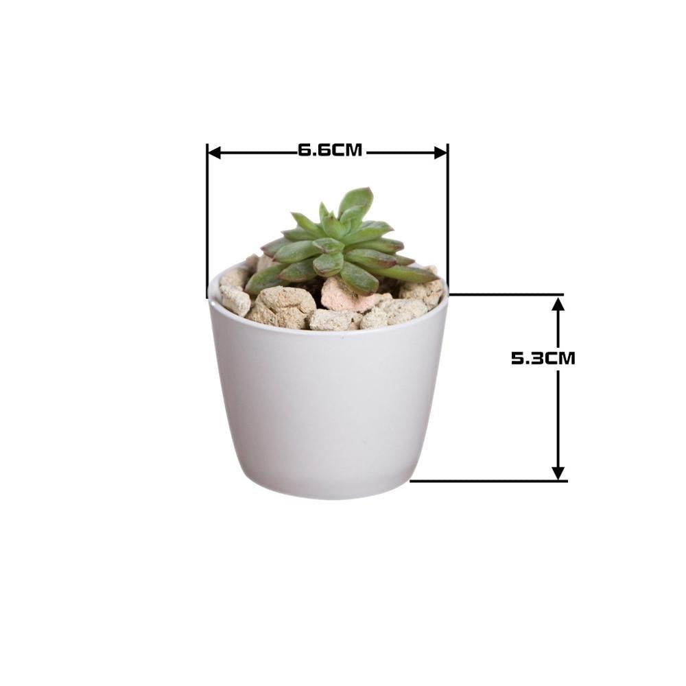 Token Size Cone Shaped Porcelain Ceramic Desk Pot