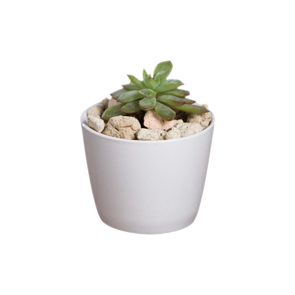 Token Size Cone Shaped Porcelain Ceramic Desk Pot