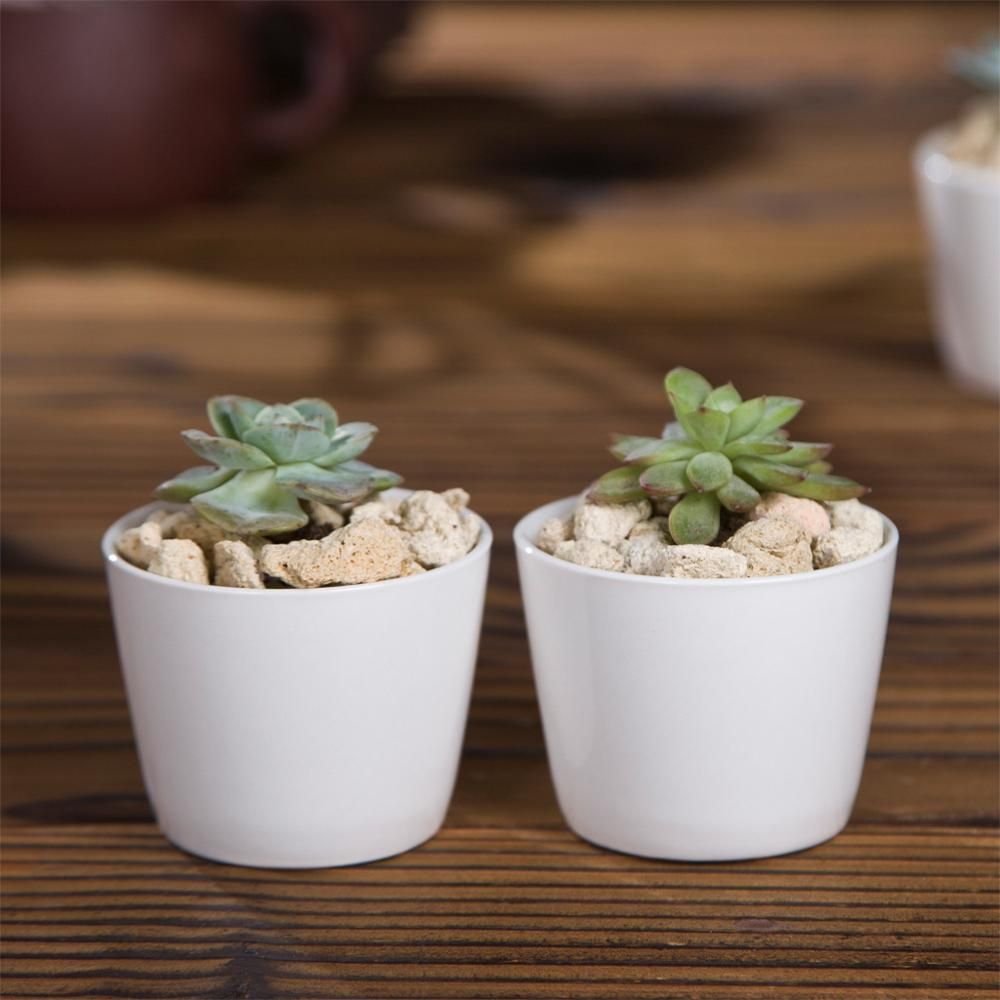 Token Size Cone Shaped Porcelain Ceramic Desk Pot