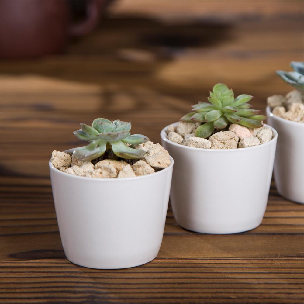 Token Size Cone Shaped Porcelain Ceramic Desk Pot