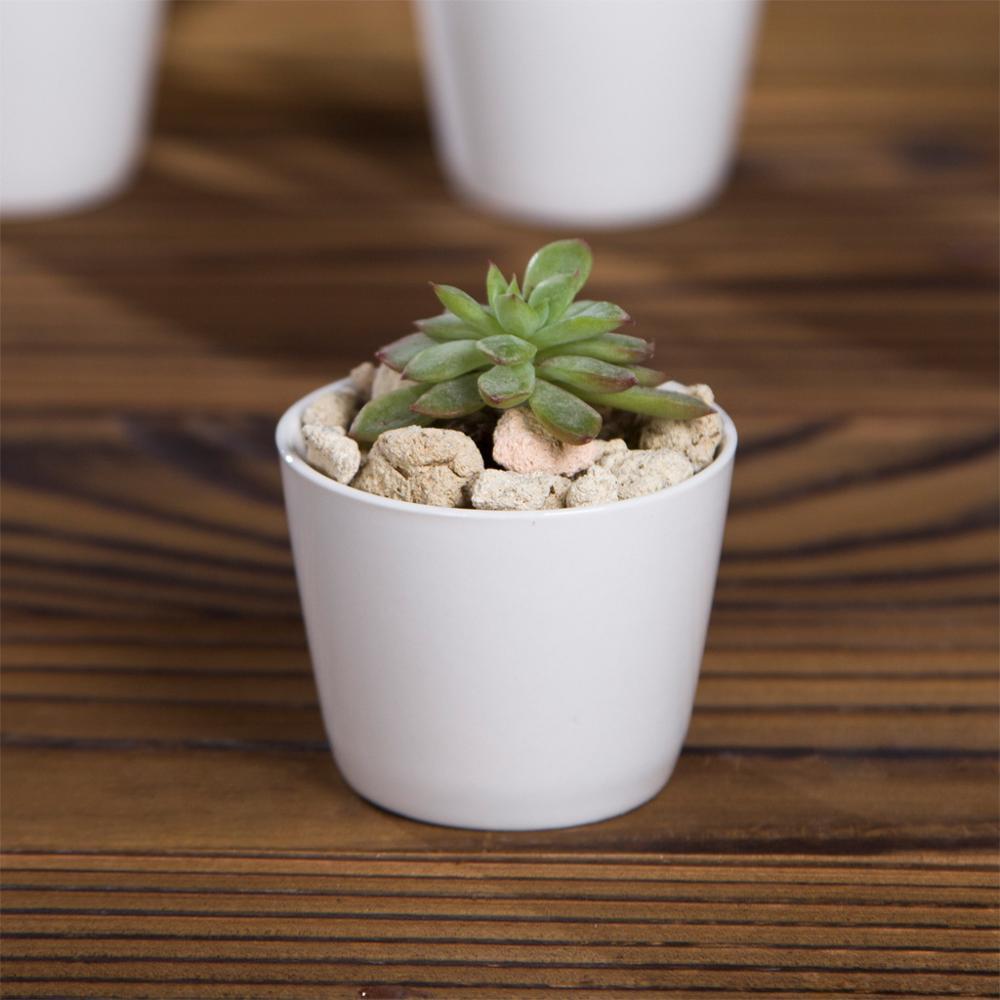 Token Size Cone Shaped Porcelain Ceramic Desk Pot
