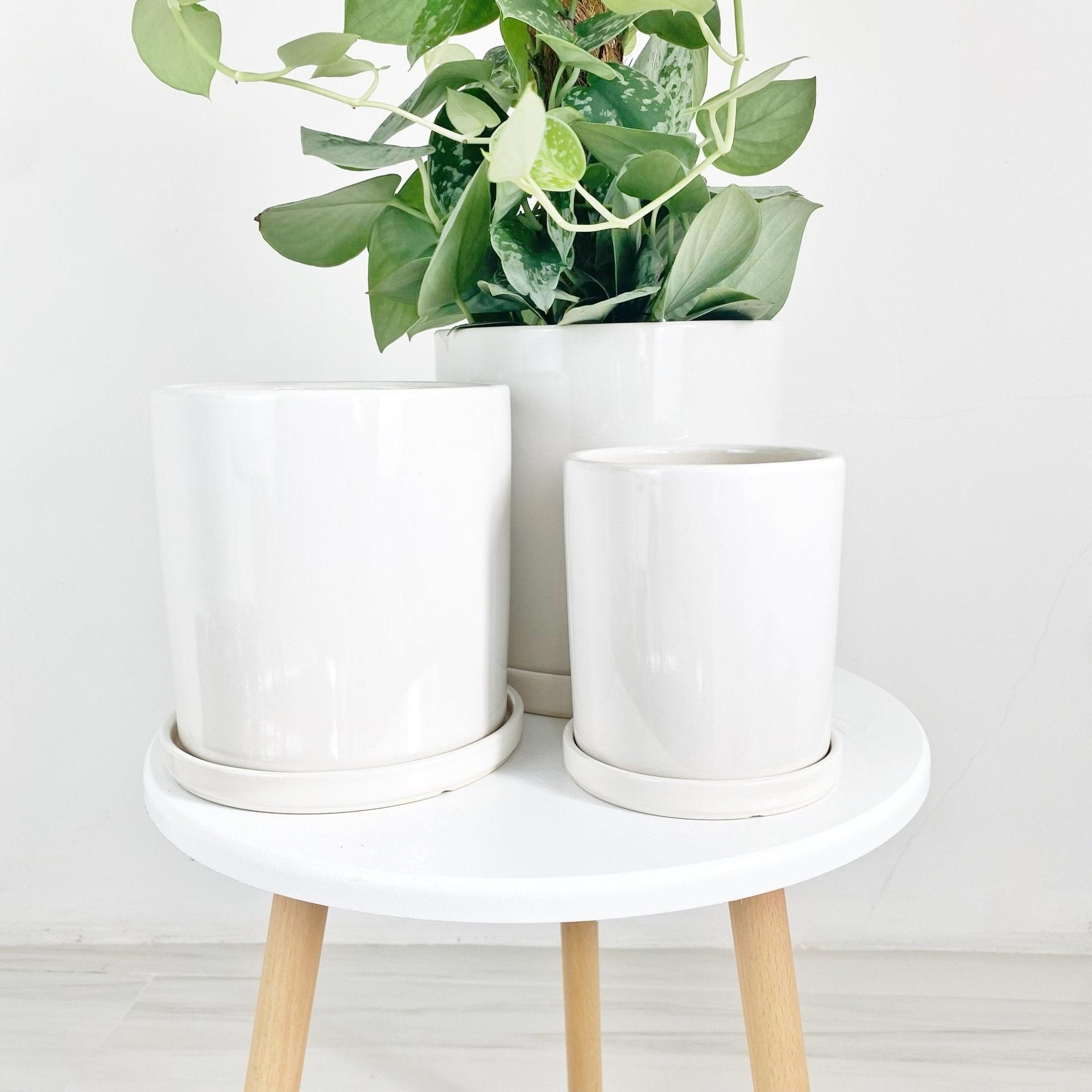 ES1257 Cylinder Glazed Clay Desk Ceramic Pot with Ceramic Saucer