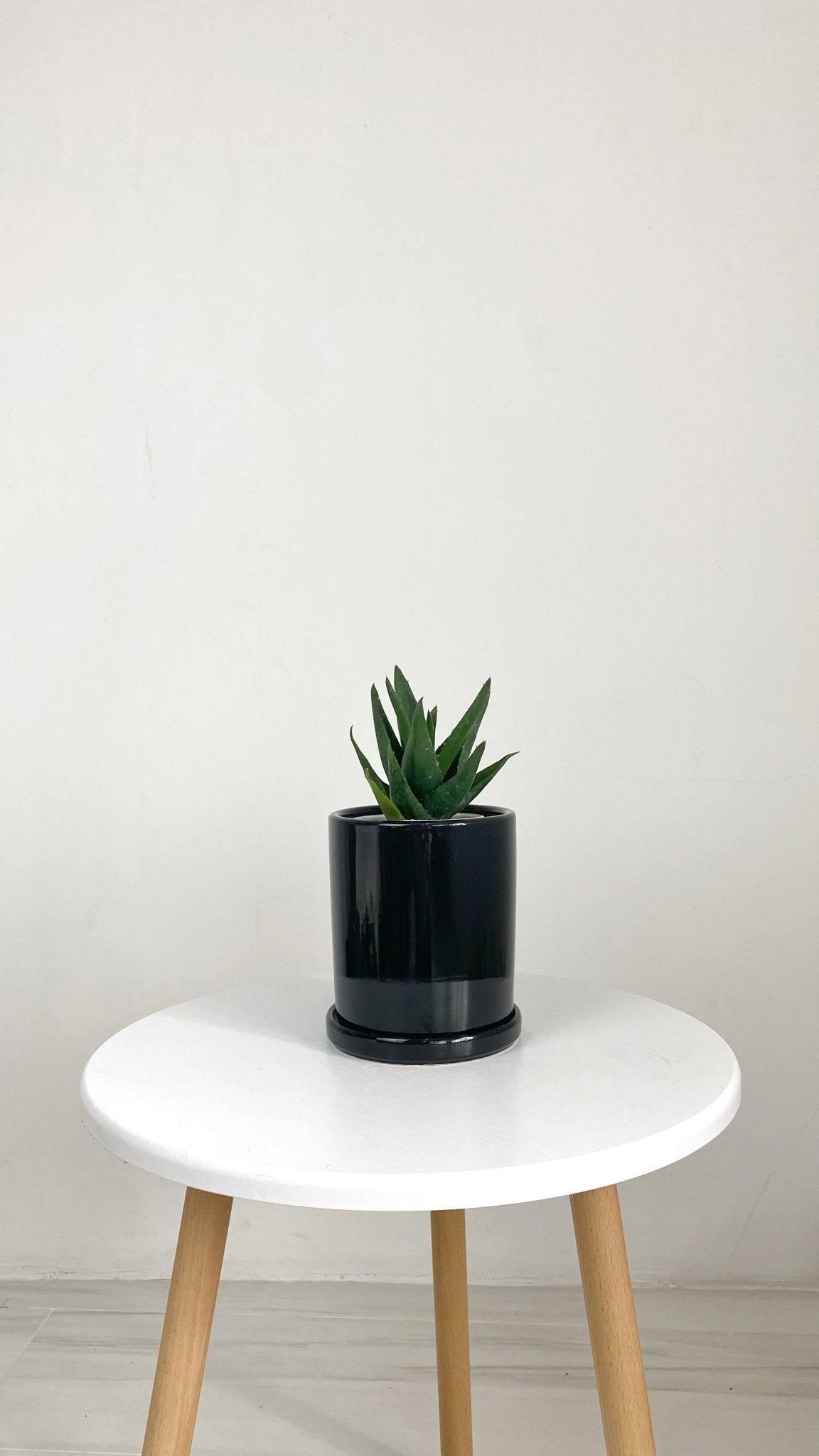 ES1257 Cylinder Glazed Clay Desk Ceramic Pot with Ceramic Saucer