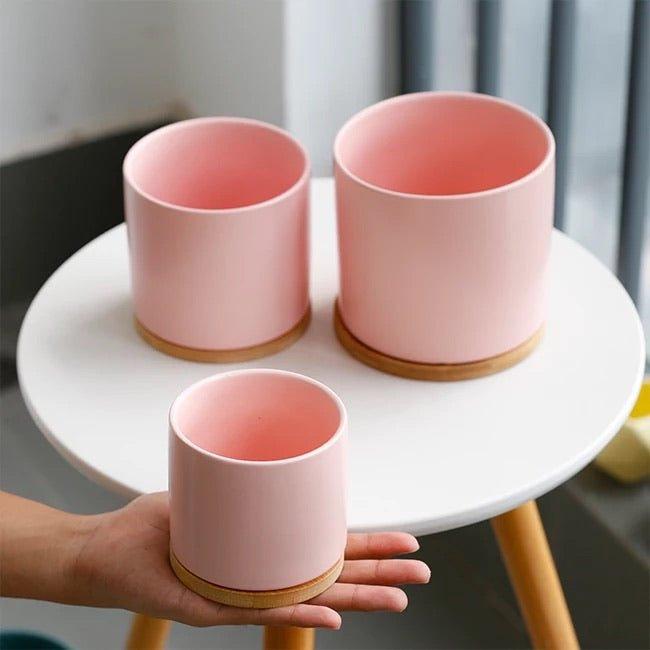Cylinder Porcelain Ceramic Pots (Set of Three) with Bamboo Catch Plates