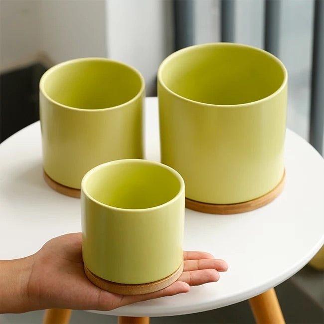 Cylinder Porcelain Ceramic Pots (Set of Three) with Bamboo Catch Plates