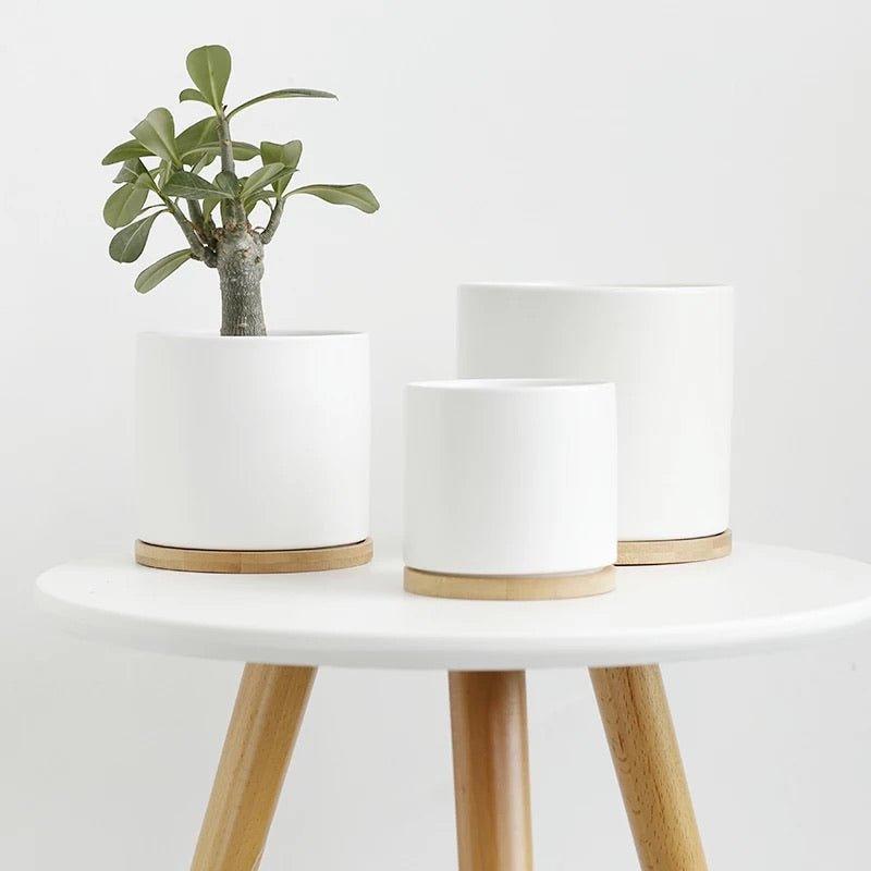 Cylinder Porcelain Ceramic Pots (Set of Three) with Bamboo Catch Plates