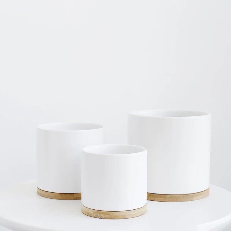 Cylinder Porcelain Ceramic Pots (Set of Three) with Bamboo Catch Plates