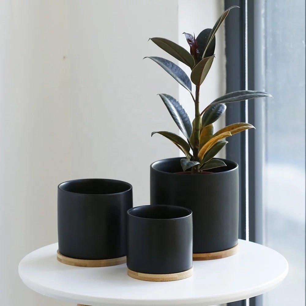Cylinder Porcelain Ceramic Pots (Set of Three) with Bamboo Catch Plates