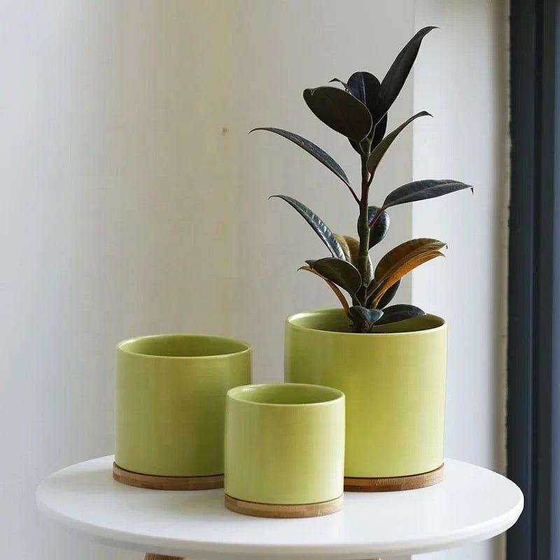 Cylinder Porcelain Ceramic Pots (Set of Three) with Bamboo Catch Plates