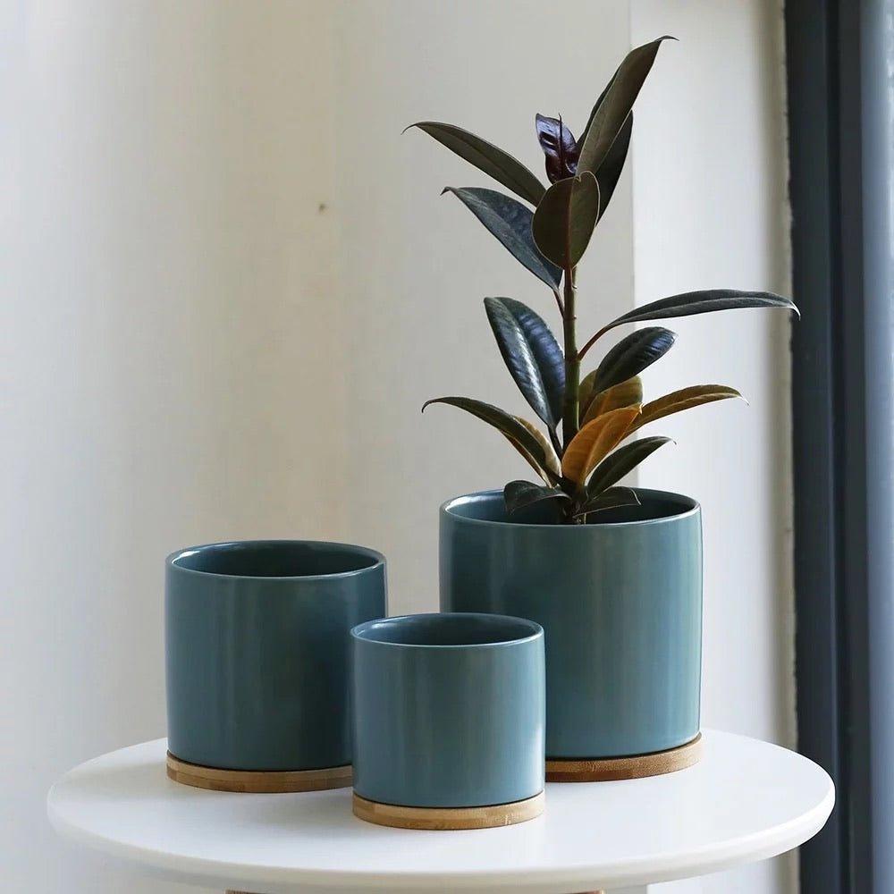 Cylinder Porcelain Ceramic Pots (Set of Three) with Bamboo Catch Plates