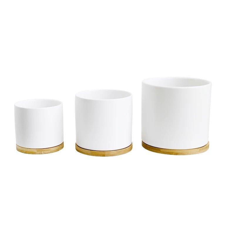 Cylinder Porcelain Ceramic Pots (Set of Three) with Bamboo Catch Plates