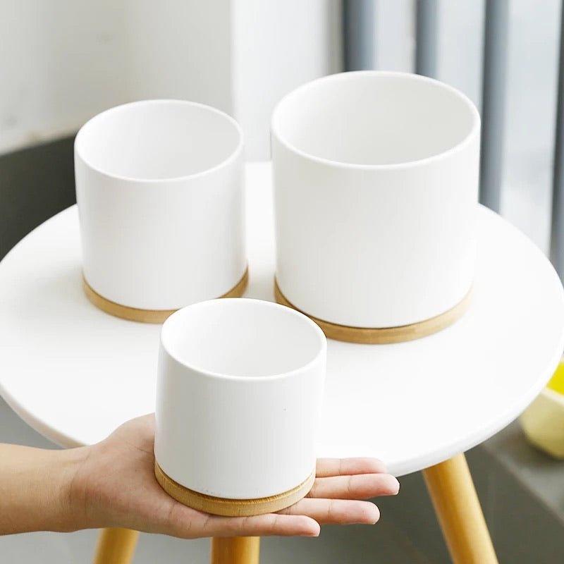 Cylinder Porcelain Ceramic Pots (Set of Three) with Bamboo Catch Plates