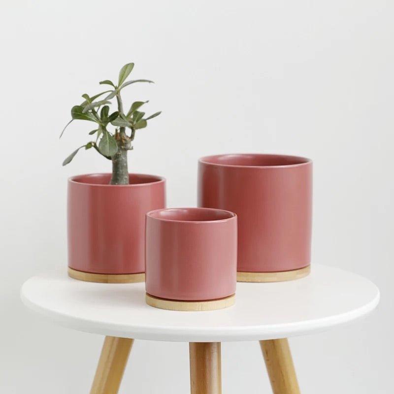 Cylinder Porcelain Ceramic Pots (Set of Three) with Bamboo Catch Plates
