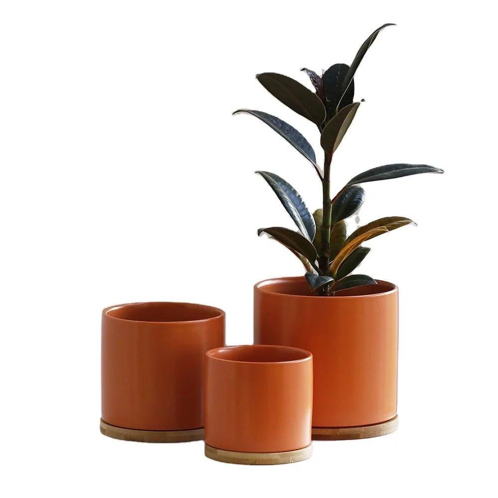 Cylinder Porcelain Ceramic Pots (Set of Three) with Bamboo Catch Plates