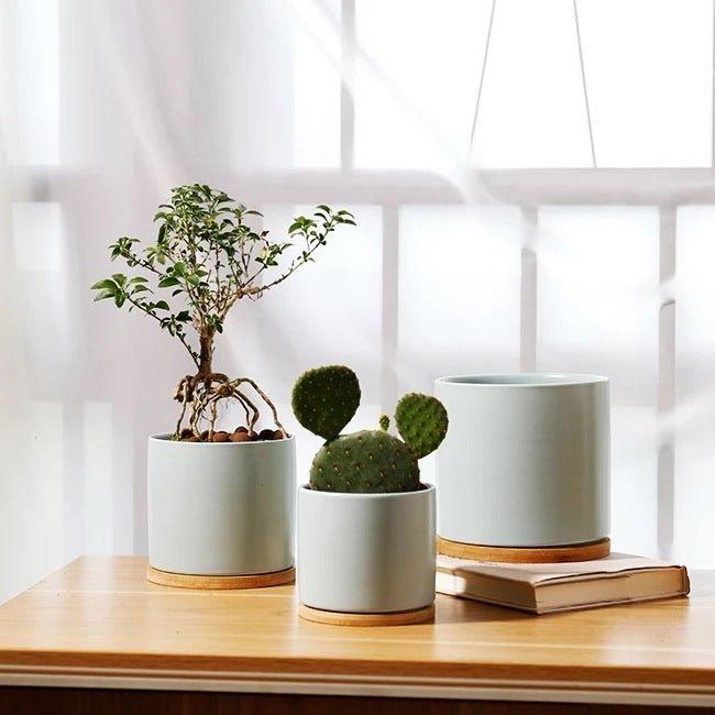 Cylinder Porcelain Ceramic Pots (Set of Three) with Bamboo Catch Plates