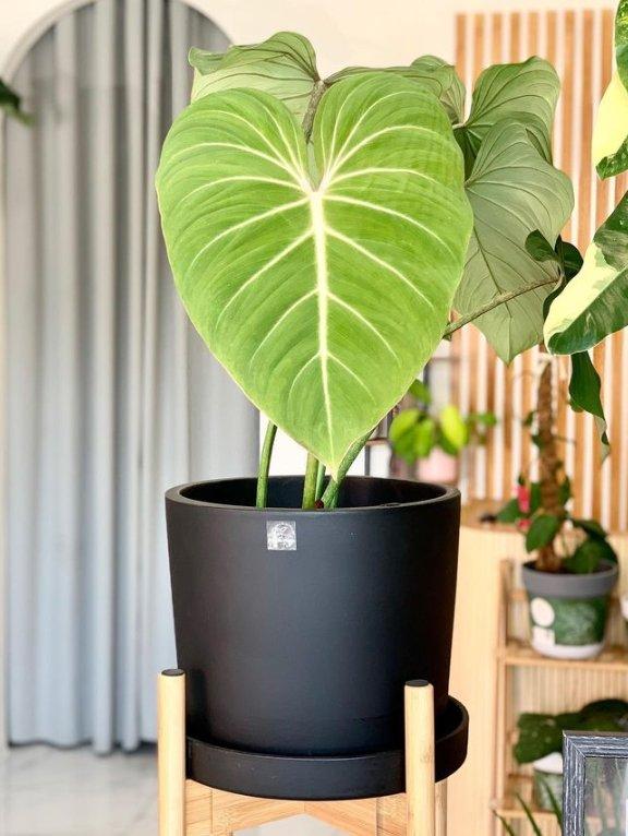 Simple Big Cylinder Floor Large Ceramic Pot with Saucer