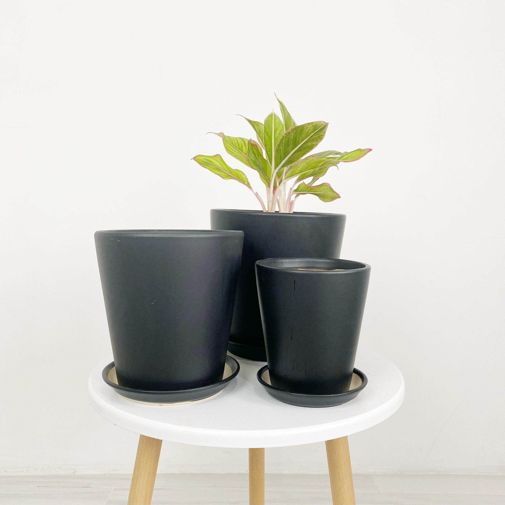 ES1256 Cone Shaped Glazed Clay Earthenware Ceramic Desk Pot