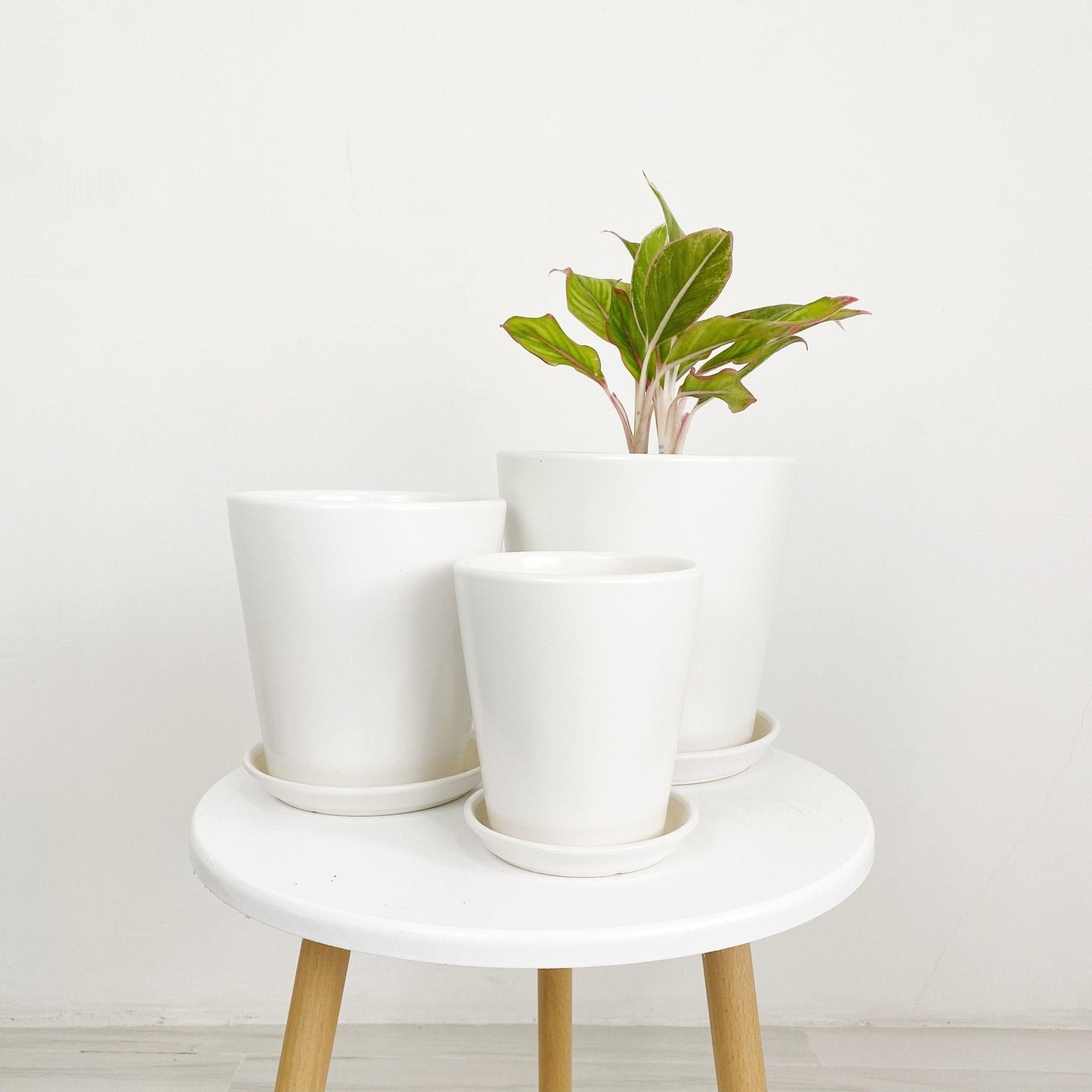 ES1256 Cone Shaped Glazed Clay Earthenware Ceramic Desk Pot