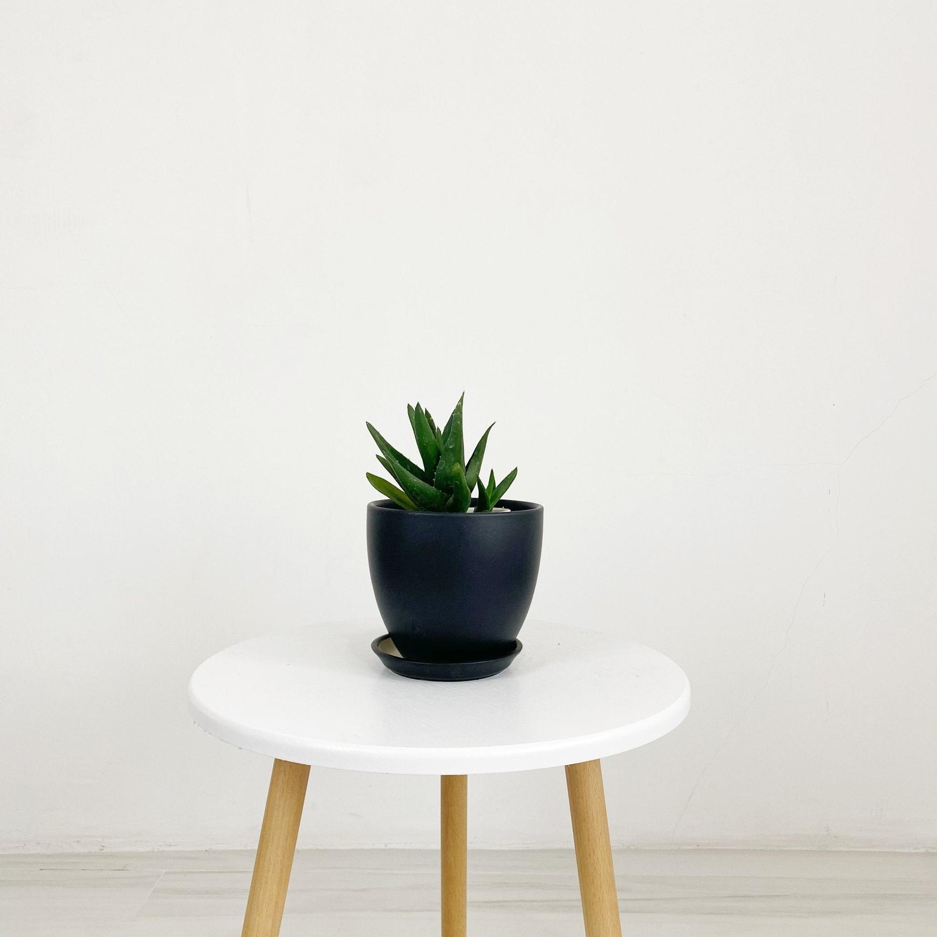 Cup Shaped Glazed Clay Earthenware Ceramic Desk Pot