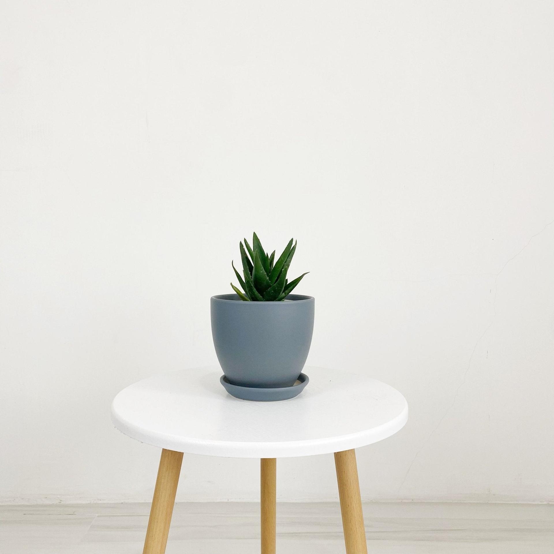 Cup Shaped Glazed Clay Earthenware Ceramic Desk Pot