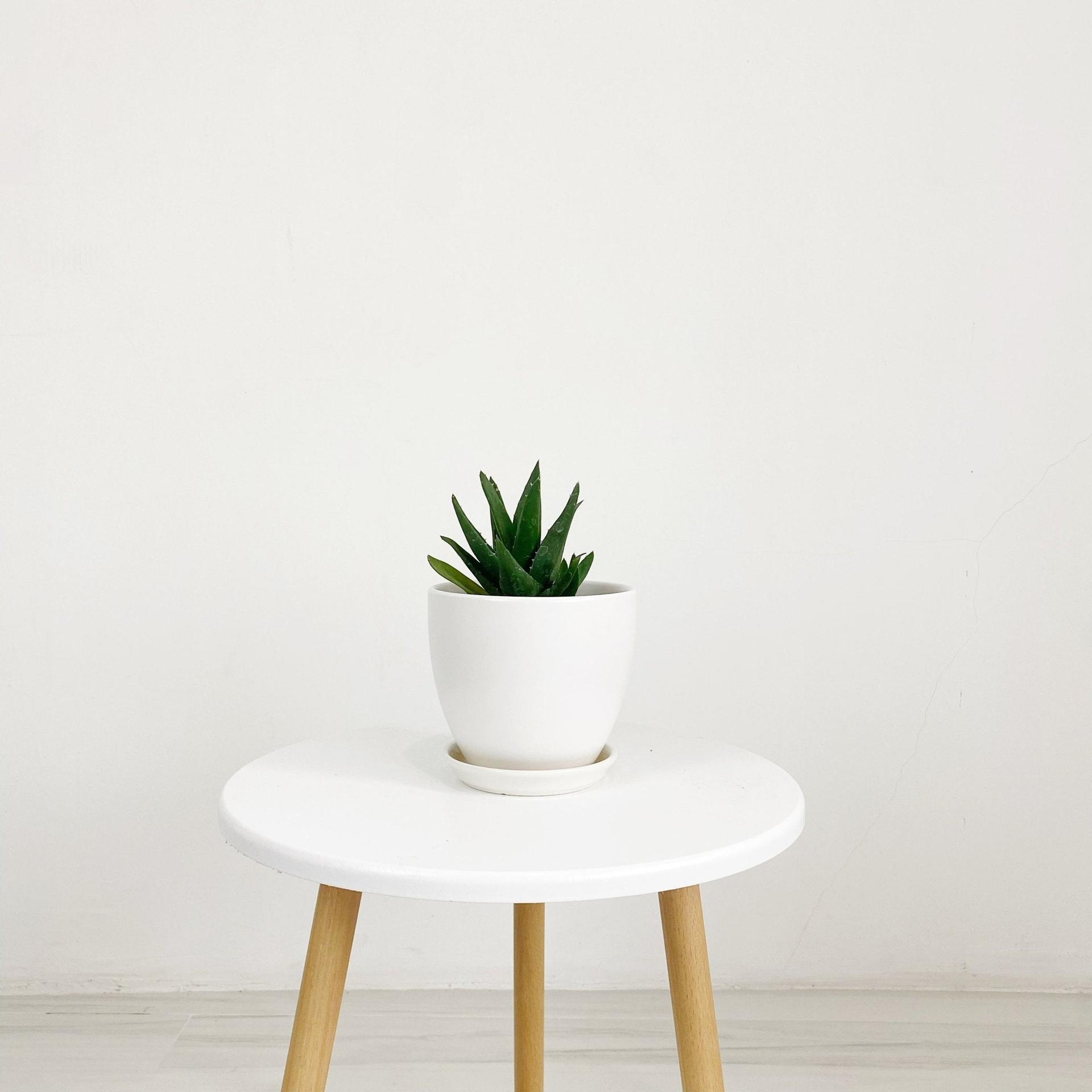 Cup Shaped Glazed Clay Earthenware Ceramic Desk Pot