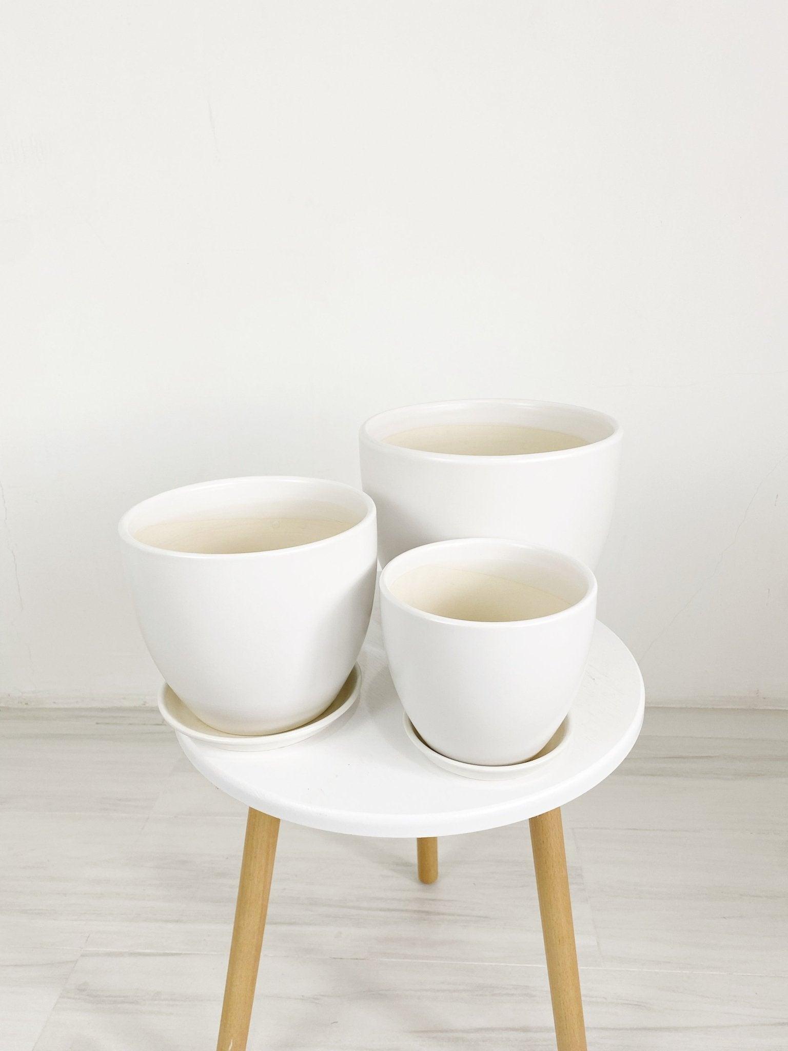 Cup Shaped Glazed Clay Earthenware Ceramic Desk Pot