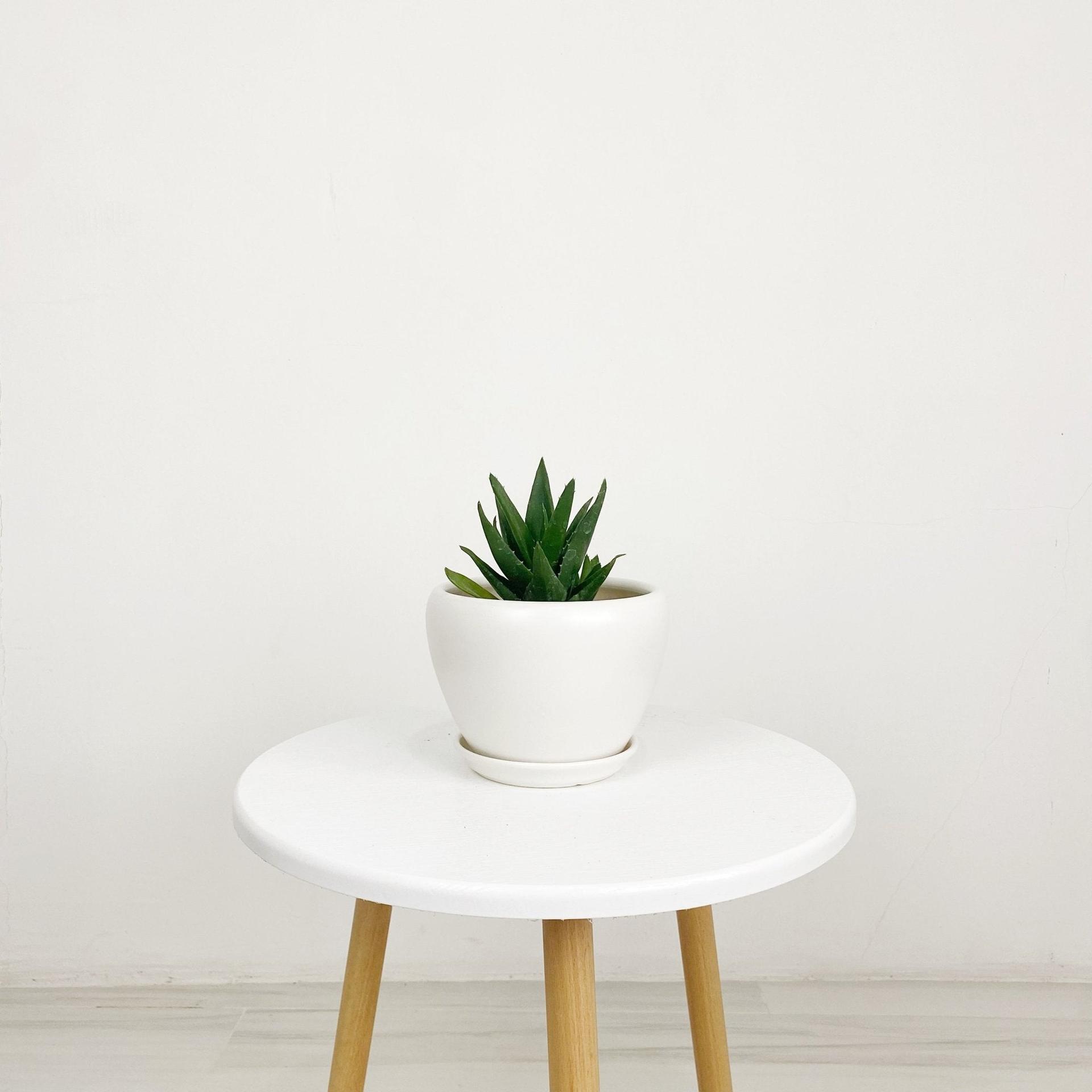 ES1258 Egg Shaped Glazed Clay Ceramic Pot with Catch Plate