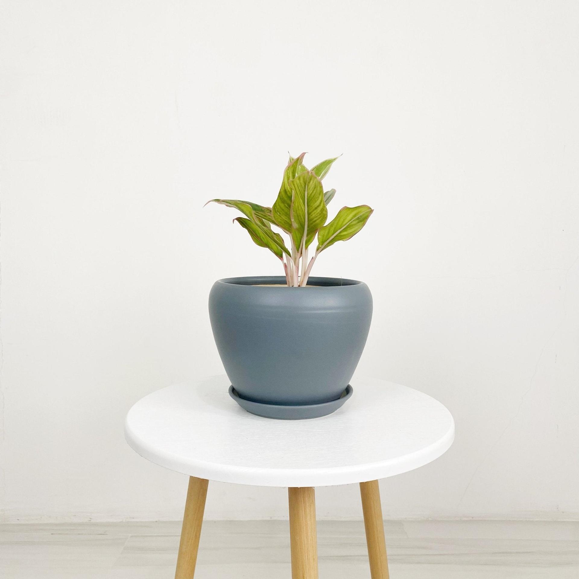 ES1258 Egg Shaped Glazed Clay Ceramic Pot with Catch Plate