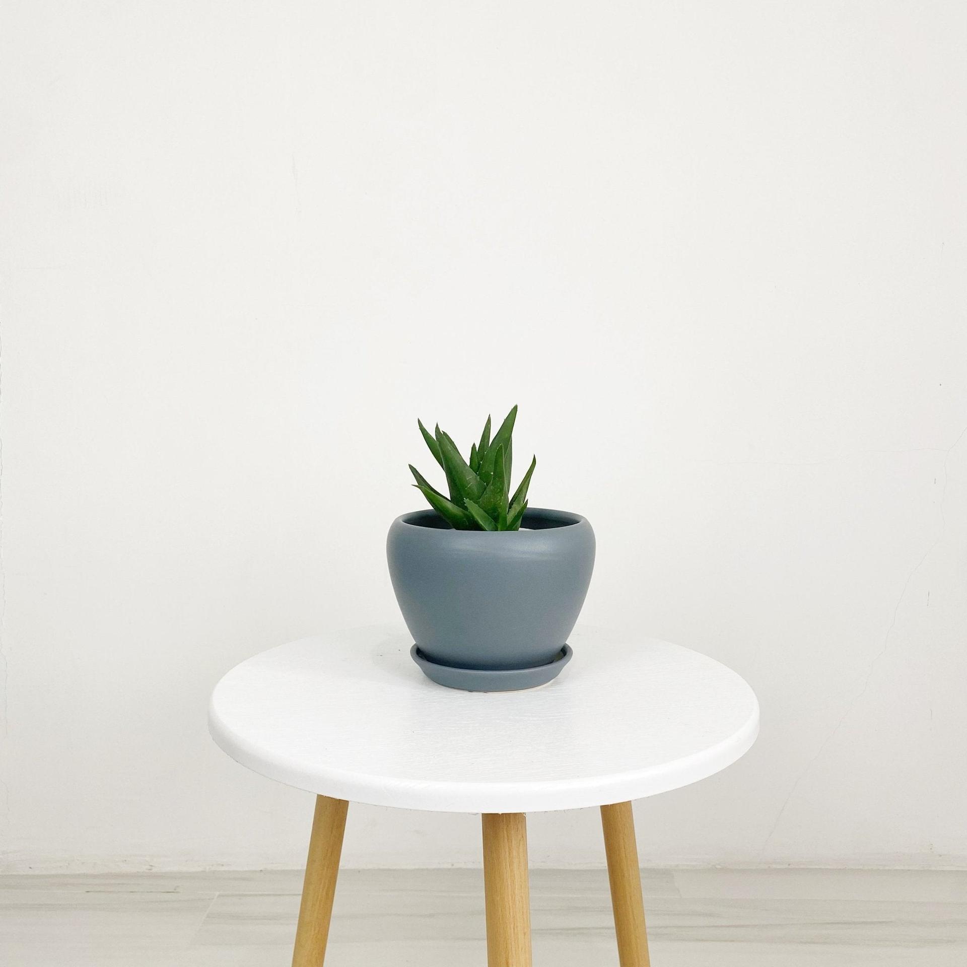 ES1258 Egg Shaped Glazed Clay Ceramic Pot with Catch Plate