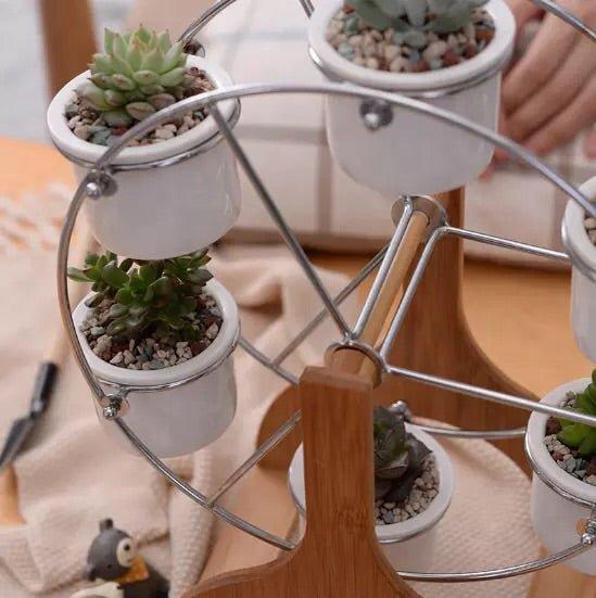 Ferris Wheel Pot Set