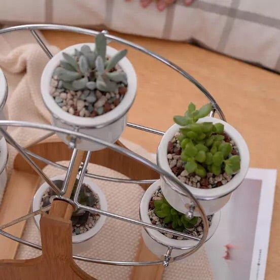 Ferris Wheel Pot Set