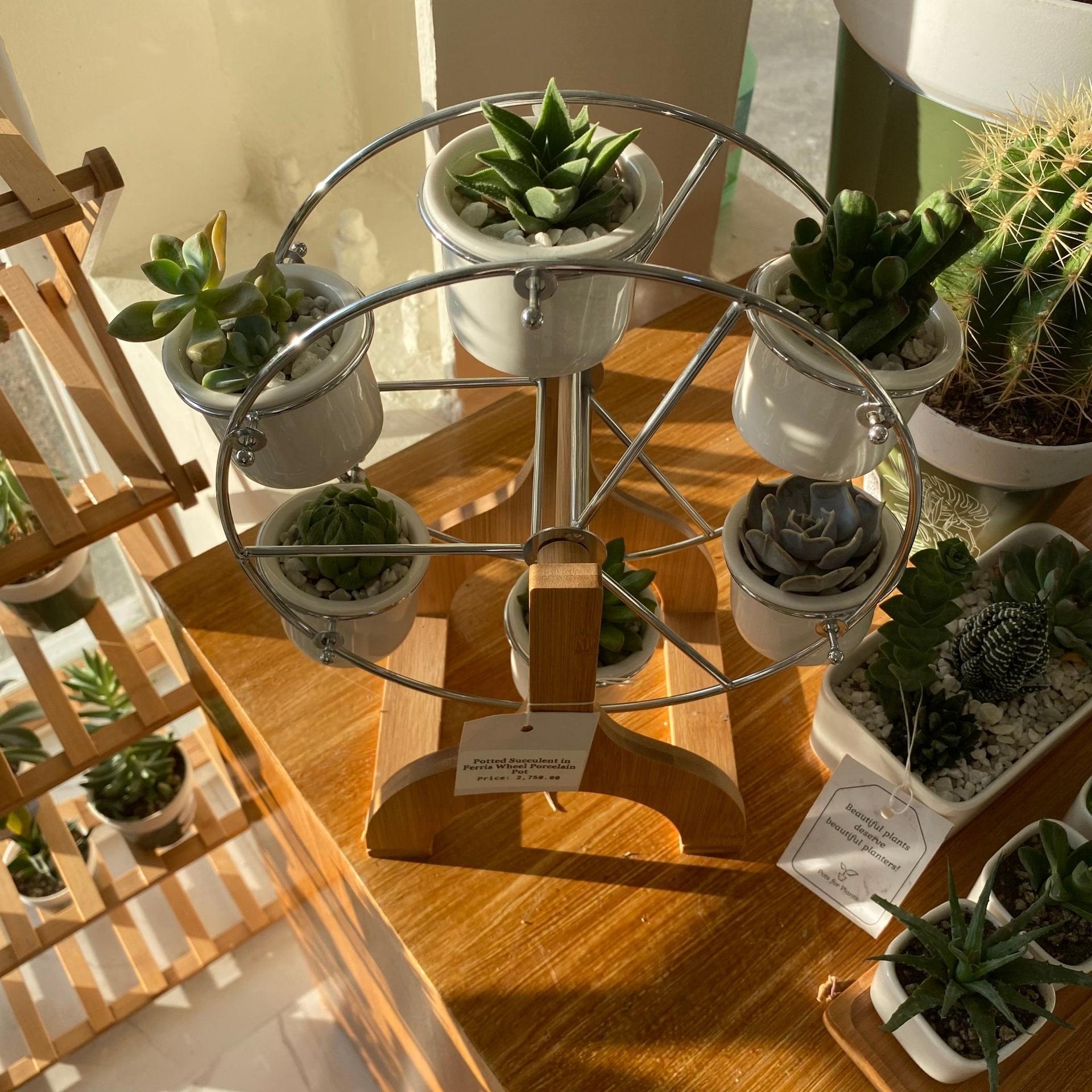 Ferris Wheel Pot Set