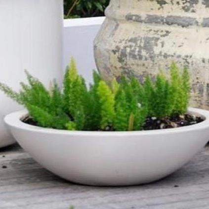 Fiberglass "Kawa" Bowl Planter