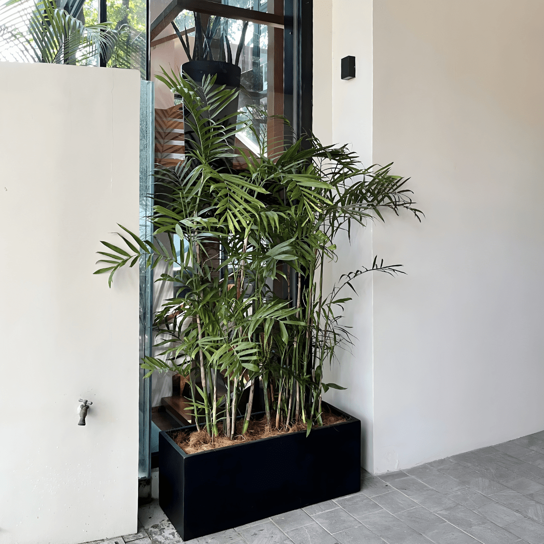 Fiberglass Planter Bed L80 X W30 XH30cm - Pots For Plants