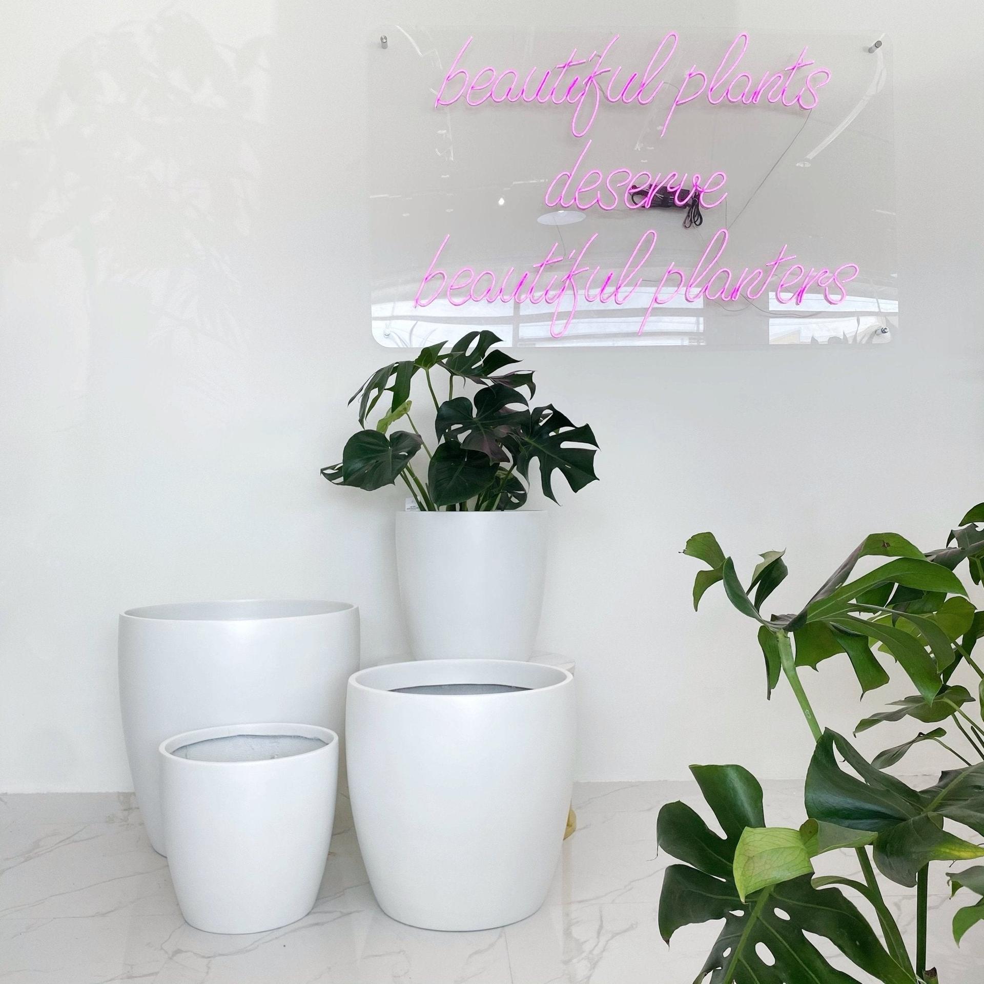 FP185 Cup Shaped Fiberglass Planter