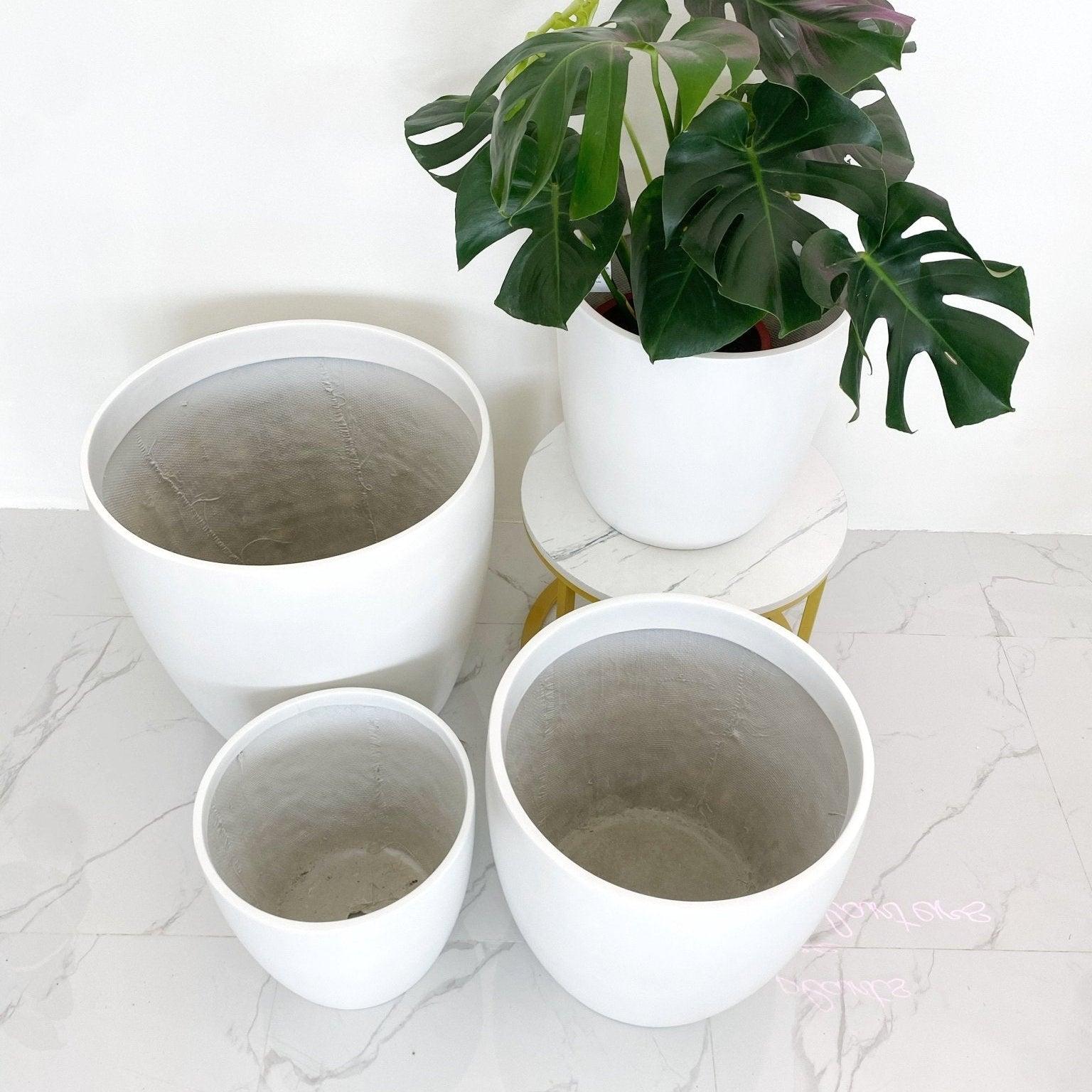 FP185 Cup Shaped Fiberglass Planter