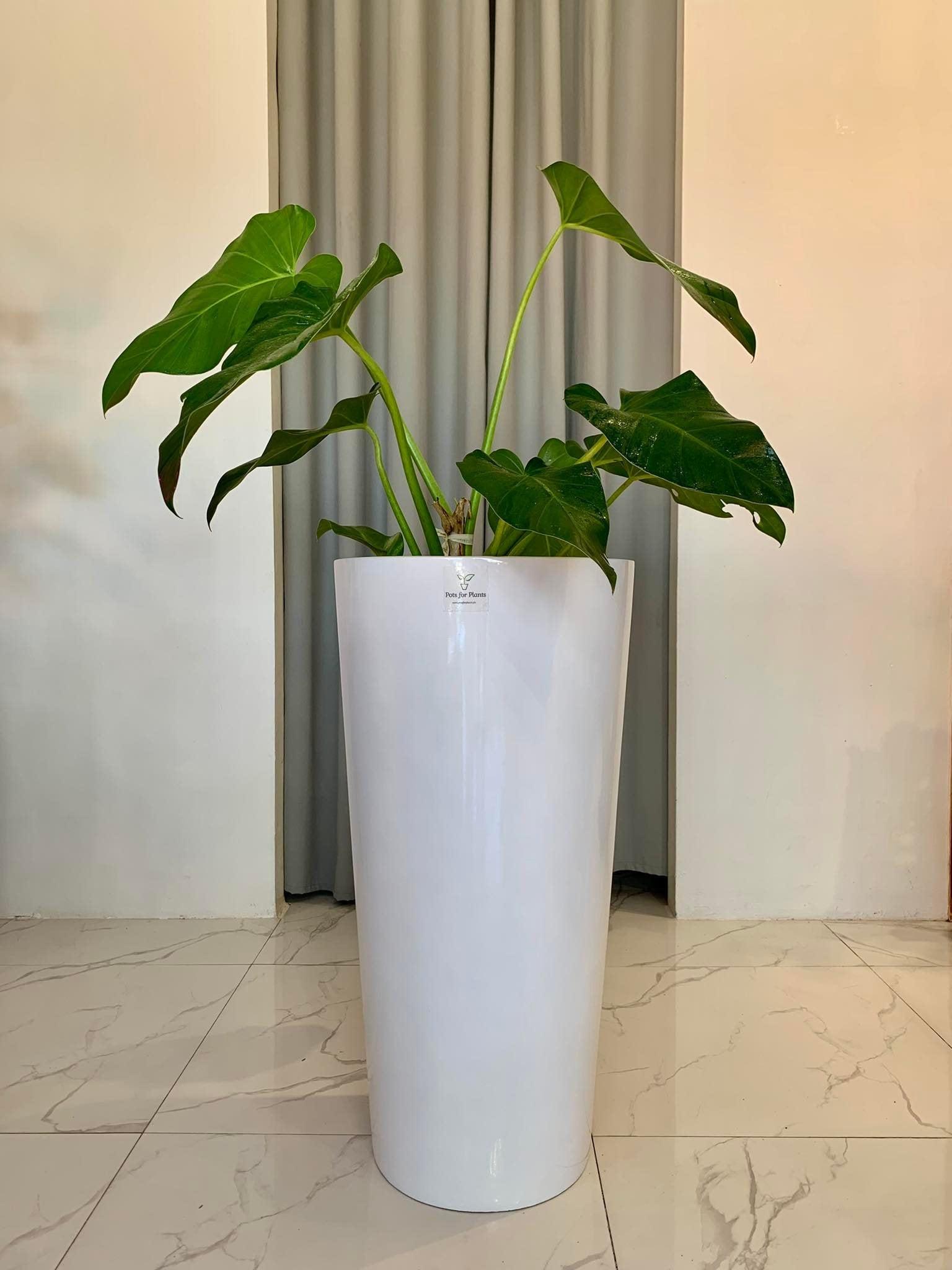 Stefano Slim and Tall Fiberglass Planter