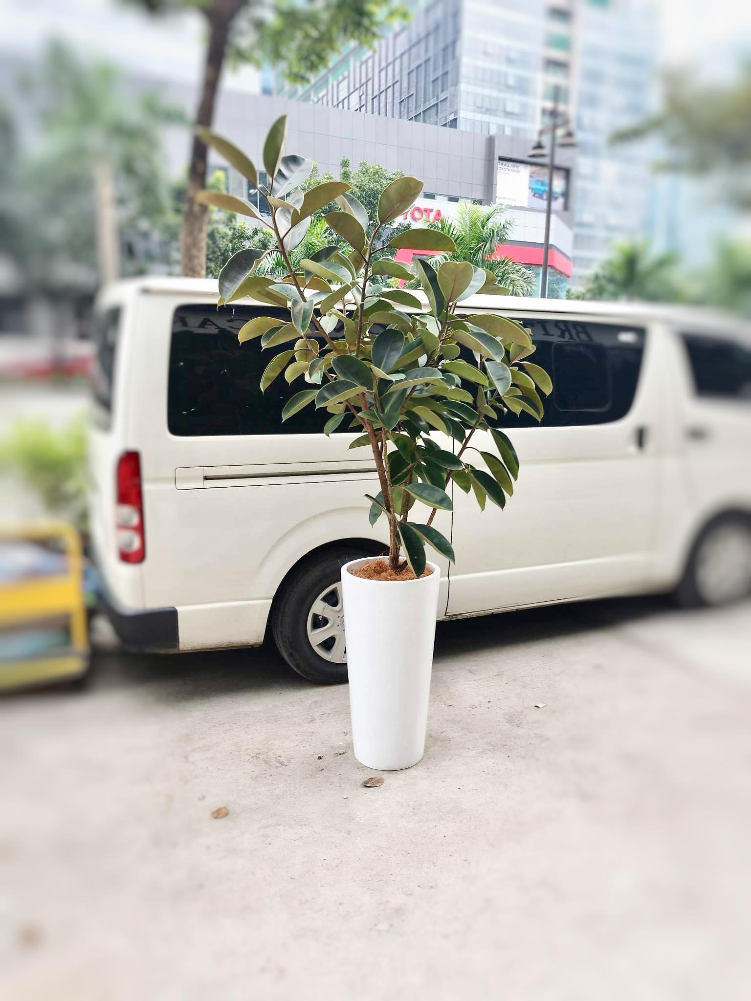 Stefano Slim and Tall Fiberglass Planter