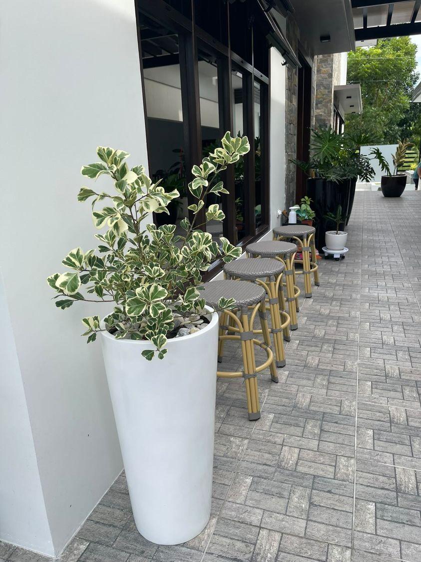 Stefano Slim and Tall Fiberglass Planter