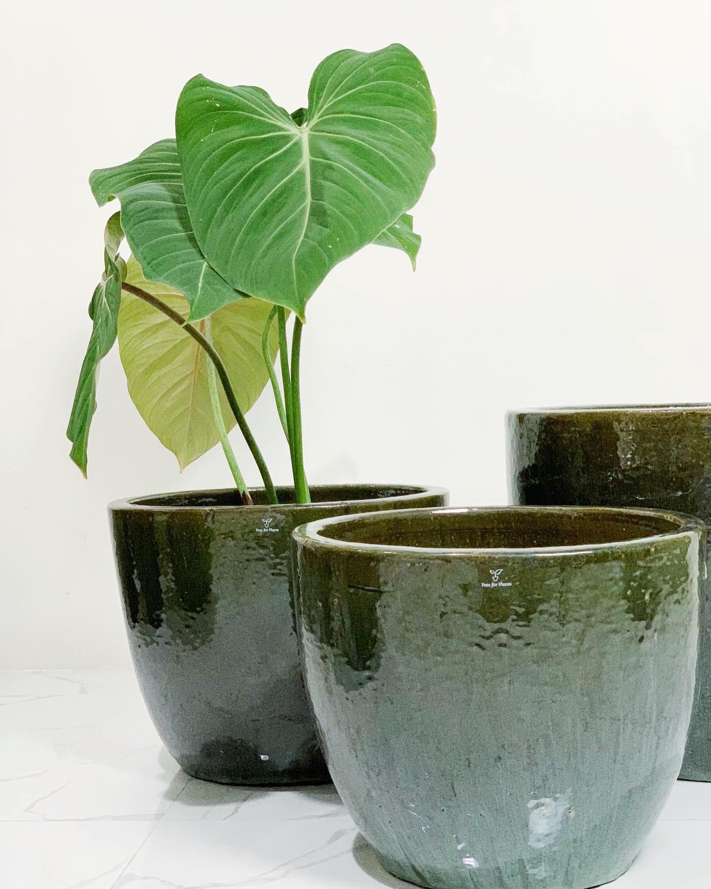 Green Round Vietnam Glazed Earthenware Ceramic Pot