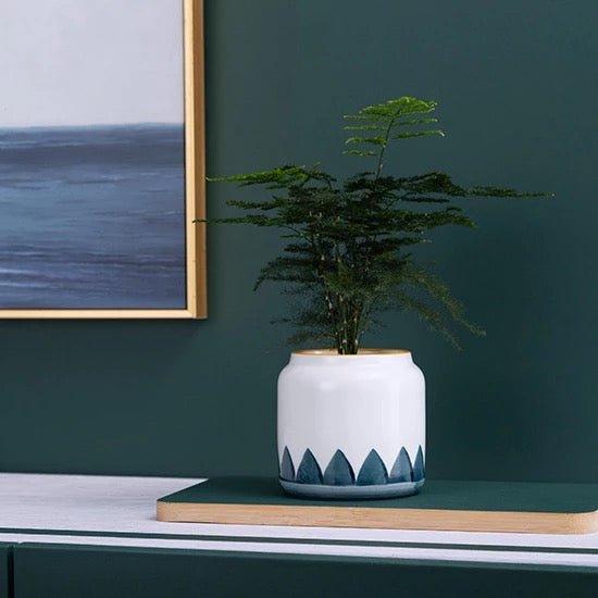 Hand Painted Succulent Ceramic Desk Pots